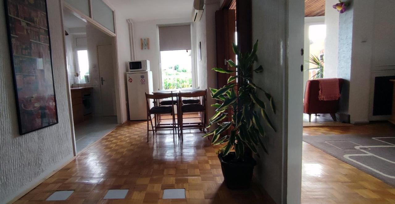 Sokolov Apartment Semendire Dış mekan fotoğraf
