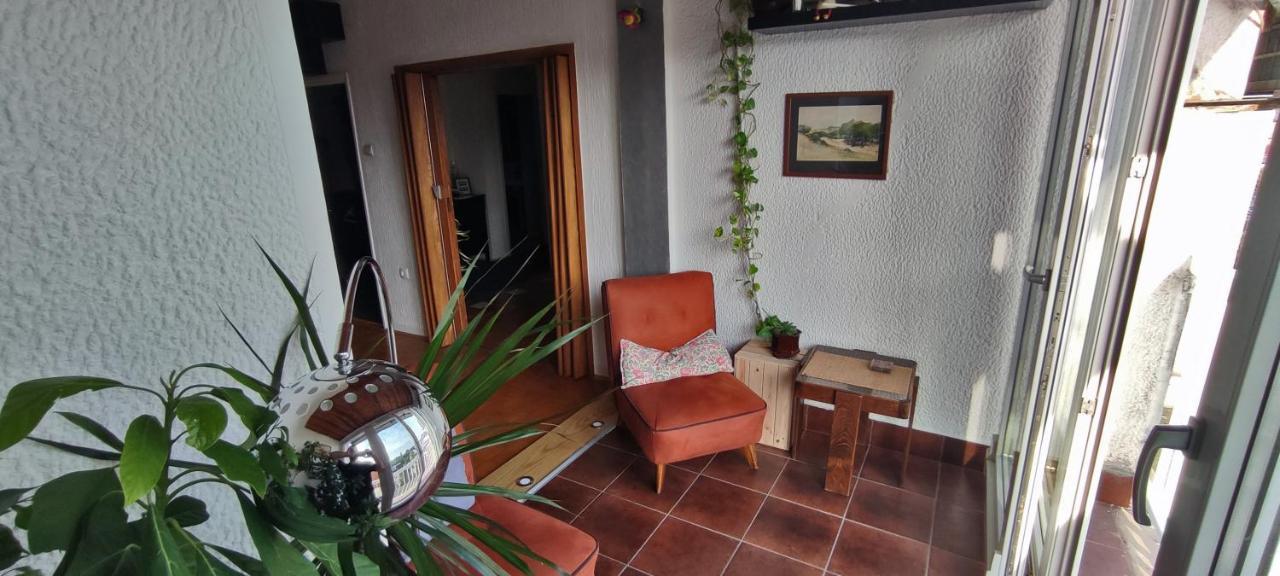 Sokolov Apartment Semendire Dış mekan fotoğraf