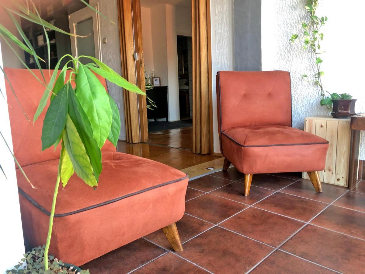 Sokolov Apartment Semendire Dış mekan fotoğraf
